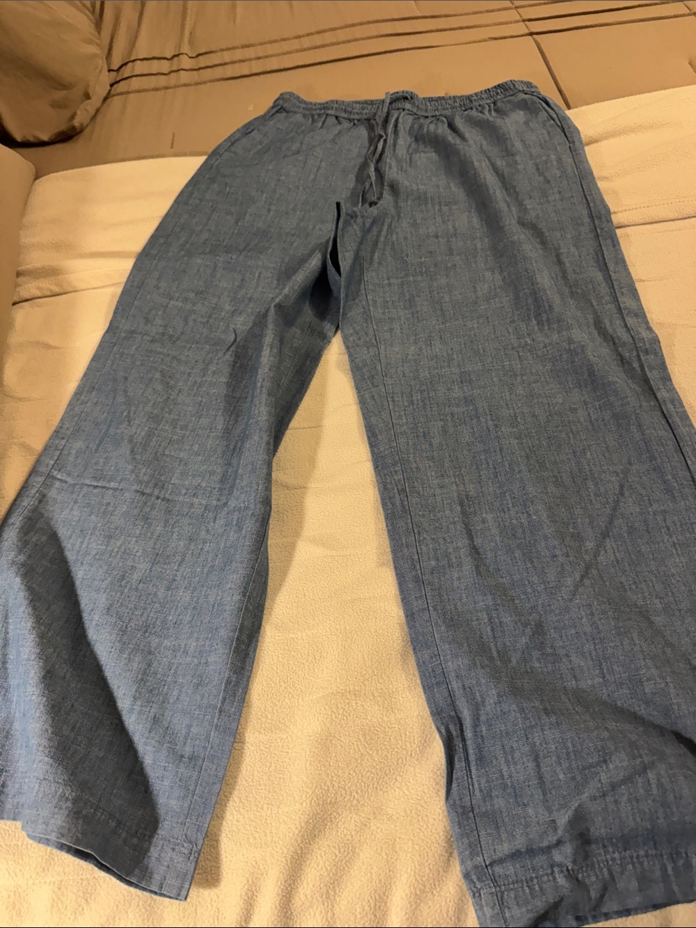 J. Crew Wide Leg Chambray Pants in Light Blue